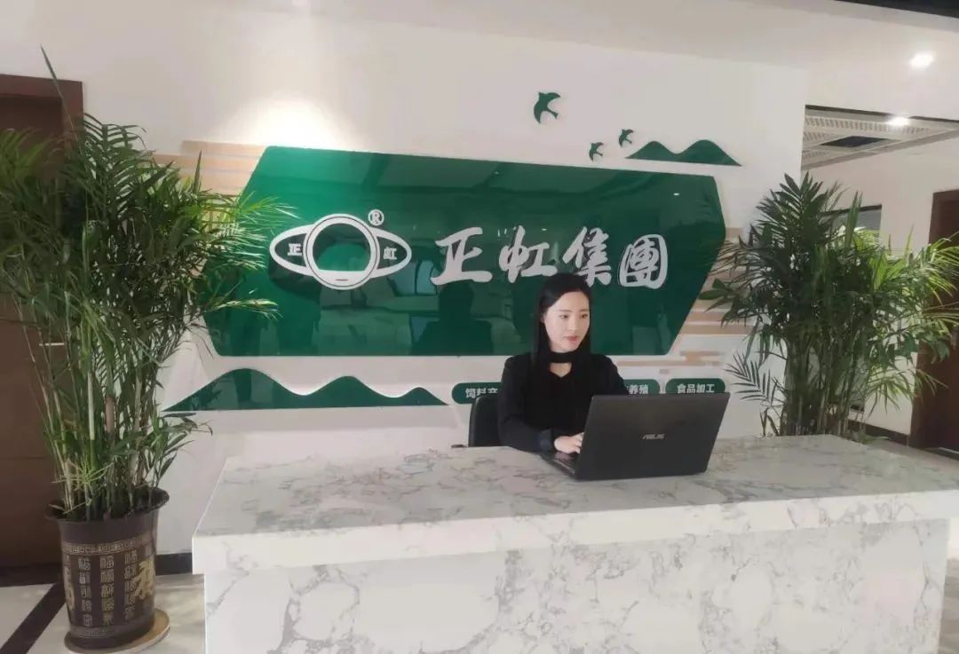 正虹9.jpg