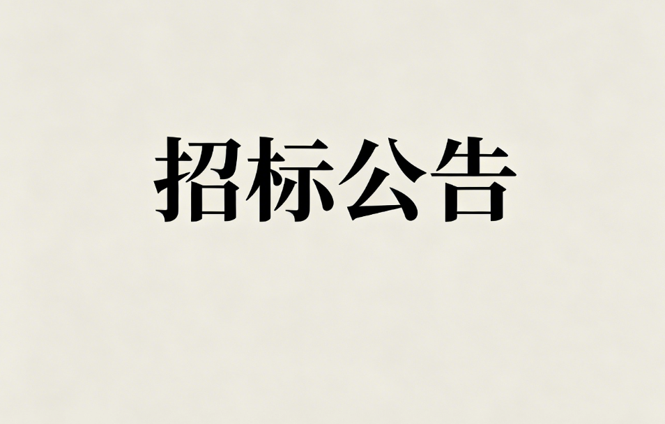 湖南正虹集团财务集中核算管理系统项目招标公告