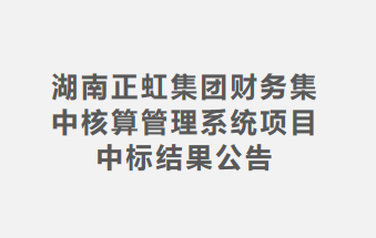 湖南正虹集团财务集中核算管理系统项目中标结果公告